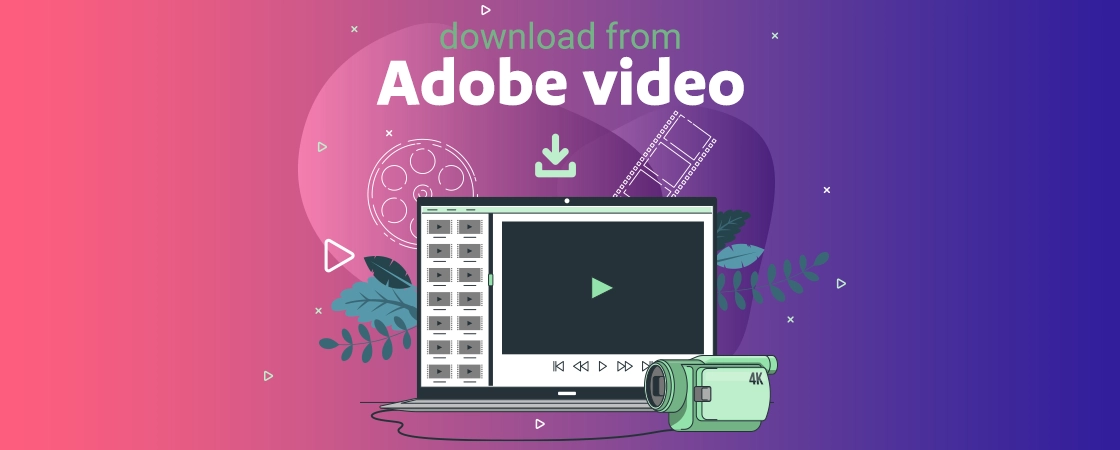 Download video and footage from Adobe Stock website